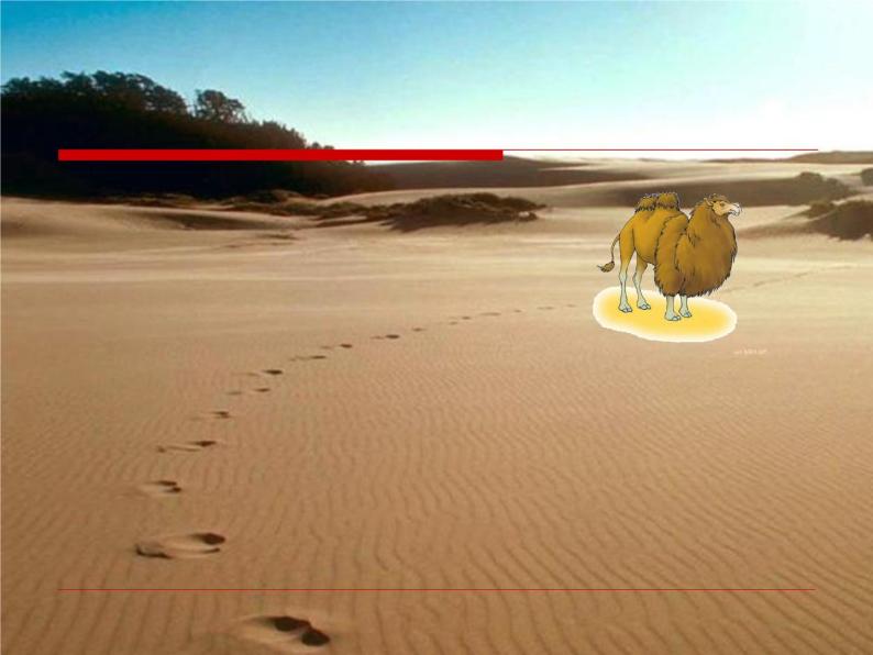 小学湘艺版小骆驼多媒体教学课件ppt