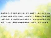 小学四年级下册音乐-第9课感知音乐节拍(三)《阿瓦日古丽》-花城版(7张)ppt课件