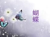 小学二年级下册音乐-《蝴蝶》1人音版(简谱)(7张)ppt课件