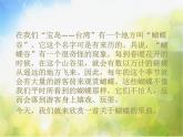蝴蝶PPT课件免费下载