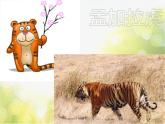 小學(xué)二年級(jí)下冊(cè)音樂-《老虎磨牙》2人音版(簡(jiǎn)譜)(12張)ppt課件