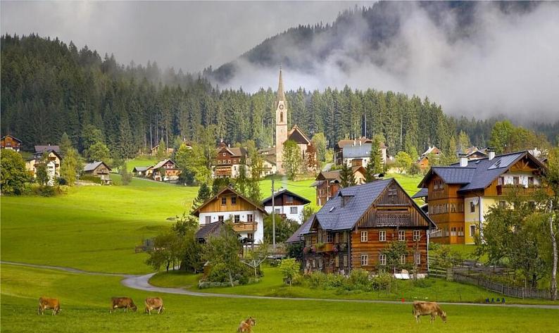 迪克西岛PPT课件免费下载02