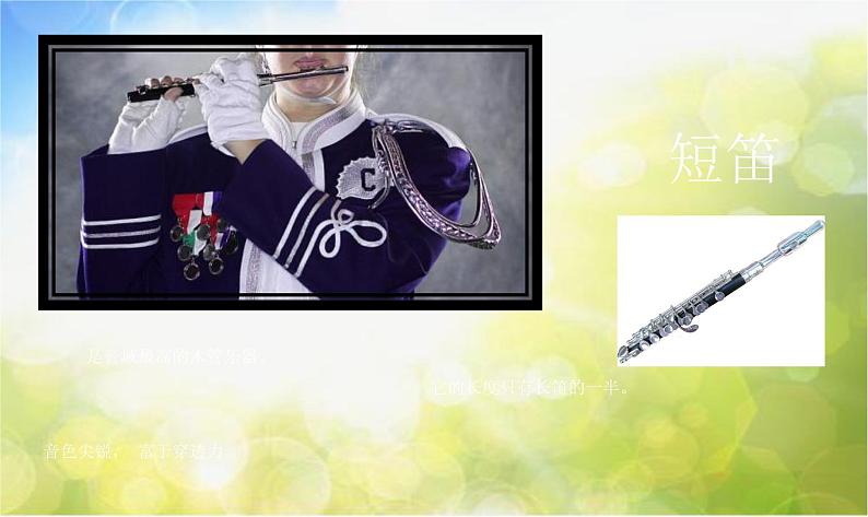 迪克西岛PPT课件免费下载03