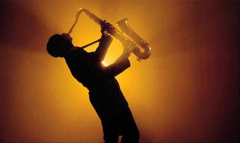 迪克西岛PPT课件免费下载06