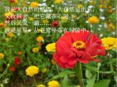 小学五年级下册音乐-6《花之歌》人音版简谱(2014秋)ppt课件