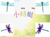 小学一年级上册音乐-《小蜻蜓》--人音版(简谱)(10张)ppt课件