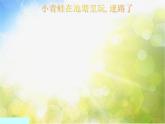 小学一年级上册音乐-《小青蛙找家》--人音版(简谱)(11张)ppt课件