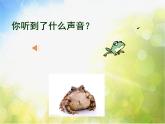 小学四年级下册音乐-《癞蛤蟆和小青蛙》2人音版(简谱)(30张)ppt课件