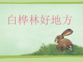 小学四年级下册音乐-《白桦林好地方》人音版(简谱)(14张)ppt课件