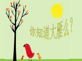 小学一年级下册音乐-3雁群飞--人音版(简谱)(10张)ppt课件