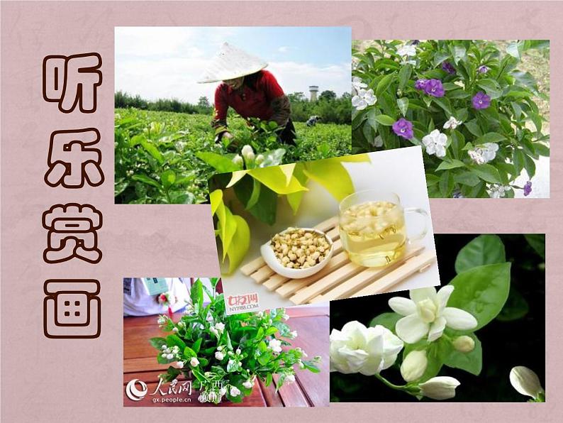 （演唱）茉莉花 课件 (2)第2页