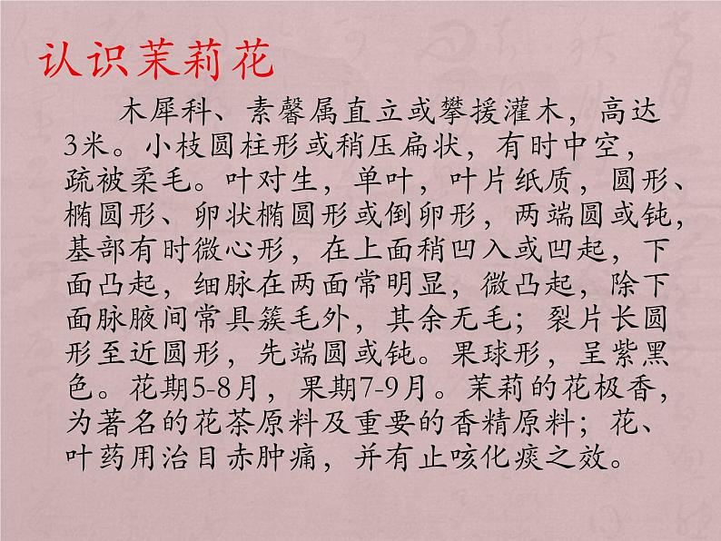 （演唱）茉莉花 课件 (2)第4页