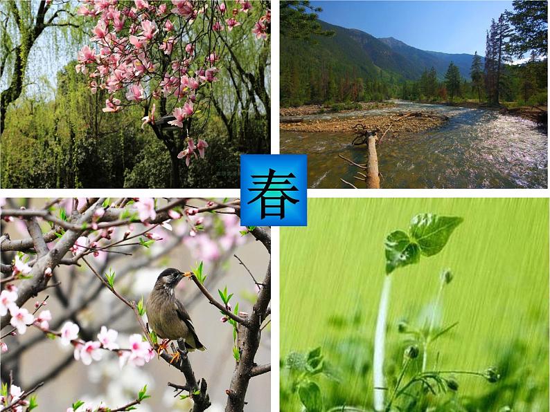 湘艺版音乐四年级下册第三课 （听赏）春 课件 教案02