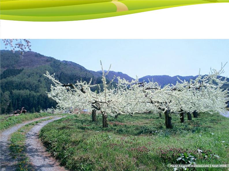 湘艺版音乐四年级下册第三课 （演唱）春晓 课件 教案 (4)08