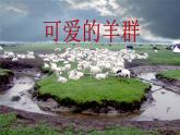 可爱的羊群PPT课件免费下载