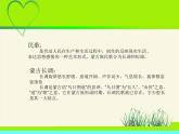 可爱的羊群PPT课件免费下载