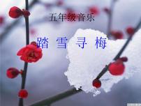 音乐湘艺版第十课踏雪寻梅背景图课件ppt