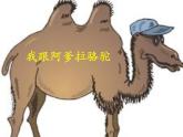 湘艺版音乐五年级上册第七课 （演唱）我跟阿爹拉骆驼 课件 教案 (5)