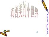 湘艺版音乐五年级上册第五课 （演唱）真善美的小世界 课件 教案 (2)