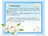 小学音乐歌曲《雪绒花》-课件-(2)PPT