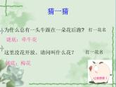 小学音乐歌曲-江苏民歌《茉莉花》-课件-(3)PPT