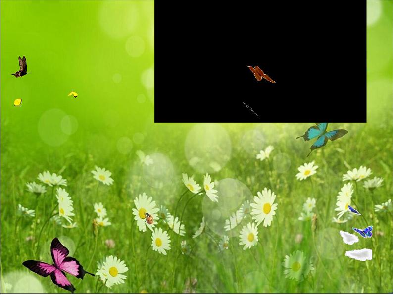 小学二年级下册音乐课件-第2课--中国少年先锋队队歌-人音版-(共13张PPT)03