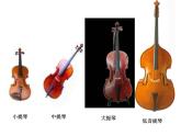 小学【课件】5《我是小音乐家》三年级下册音乐-人音版(五线谱)(共8张PPT)
