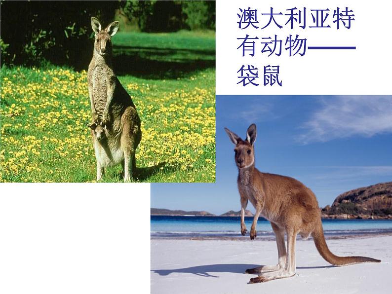 小学【课件】6《剪羊毛》三年级下册音乐-人音版(五线谱)(共21张PPT)第6页