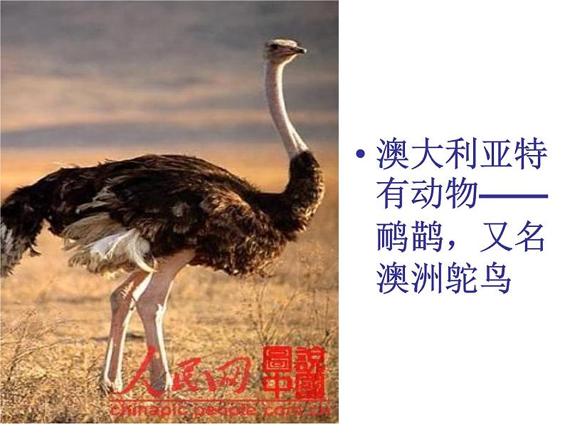 小学【课件】6《剪羊毛》三年级下册音乐-人音版(五线谱)(共21张PPT)第7页