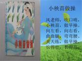 我们是朋友PPT课件免费下载