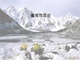 音樂二年級下人音版8我愛雪蓮花課件(22張)