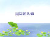 小学二年级上册音乐课件-《湖边的孔雀》冀少版-(共13张PPT)