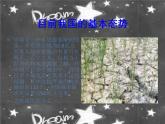 小学二年级下册音乐课件-《节约用水》冀少版-(共10张PPT)