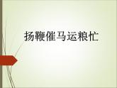 小学二年级上册音乐课件-《扬鞭催马运粮忙》冀少版-(共10张PPT)