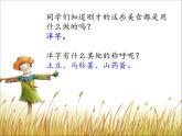 小学二年级下册音乐课件-《刨洋芋》冀少版-(共7张PPT)
