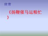 扬鞭催马运粮忙PPT课件免费下载