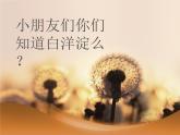 小学二年级下册音乐课件-《小船摇着白洋淀》冀少版-(共10张PPT)