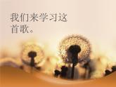 小学二年级下册音乐课件-《小船摇着白洋淀》冀少版-(共10张PPT)