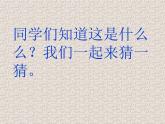 小学二年级下册音乐课件-《花狸虎》冀少版-(共7张PPT)