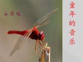 小学音乐红蜻蜓-课件-(5)PPT