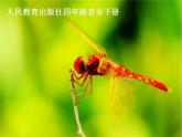小學(xué)音樂(lè)紅蜻蜓-課件PPT