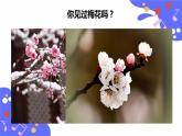 人教版五年级下册音乐：5.1《梅花》教案+课件+音视频素材