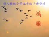 小学音乐鸿雁-课件PPT