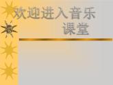 小学音乐欢乐颂-课件-(2)PPT