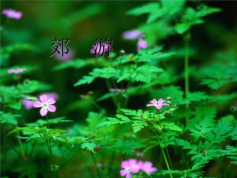 小学音乐郊游-课件-(4)PPT第2页