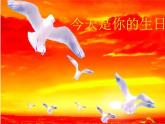 小學(xué)音樂(lè)今天是你的生日-課件-(2)PPT