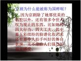 小学音乐京剧行当-课件--(6)PPT (1)