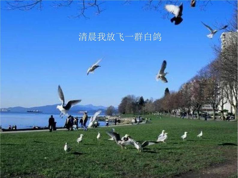 小学音乐今天是你的生日-课件-(1)PPT06