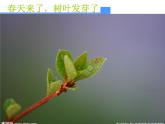 小学音乐郊游-课件-(2)PPT
