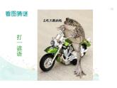 癩蛤蟆和小青蛙PPT課件免費下載